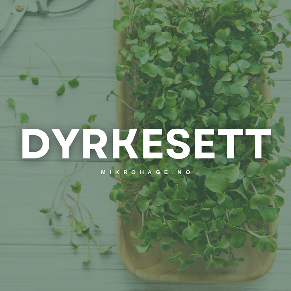 Mikrogrønt Dyrkesett