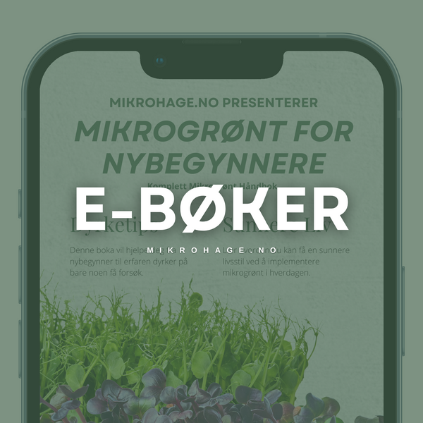 E-bøker