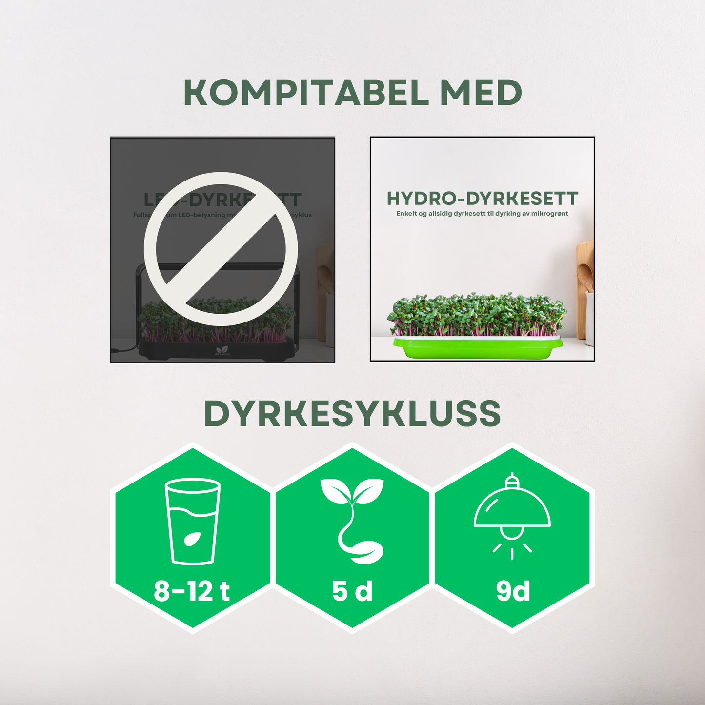 Ert "Jumbo" Mikrogrønt Frø