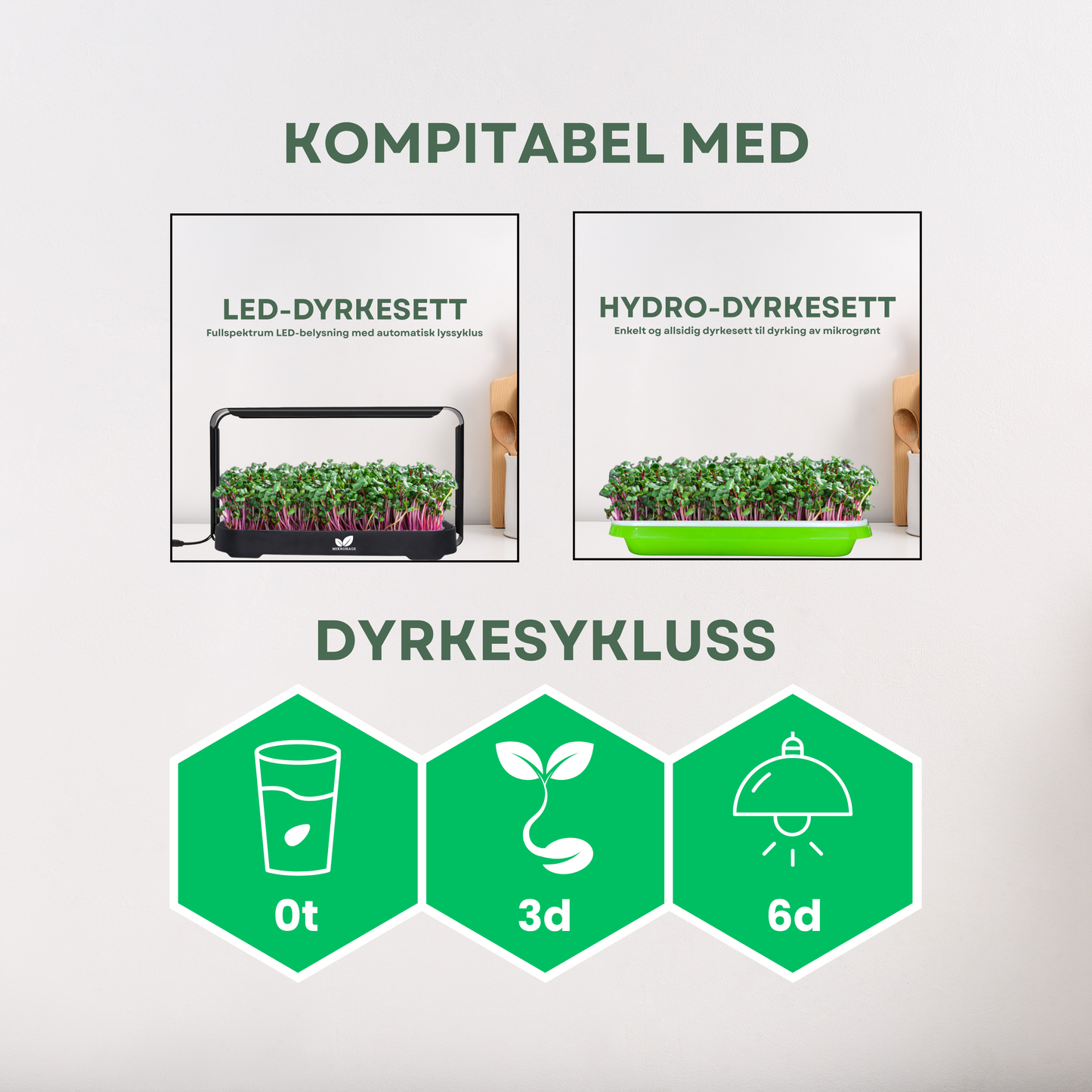 Reddik "Rose" Mikrogrønt Frø