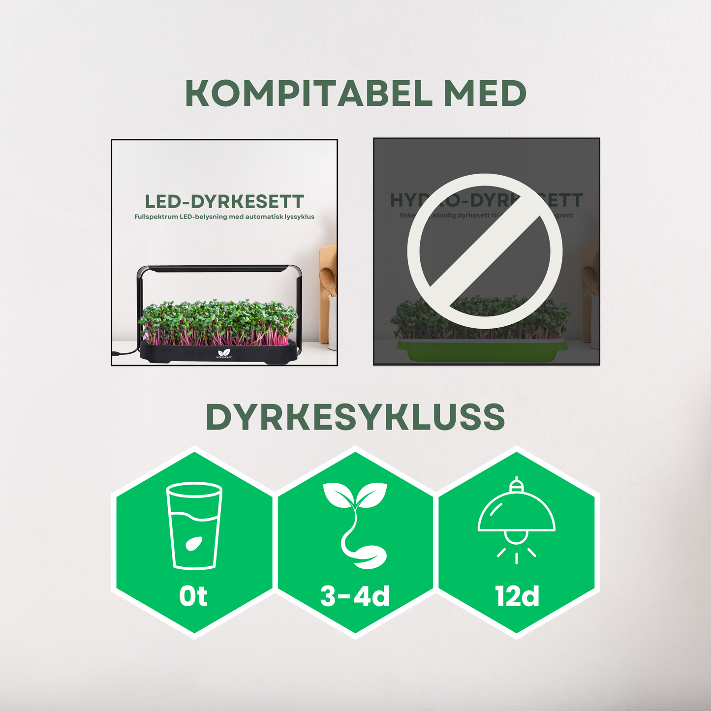 Amarant "RED" Mikrogrønt Frø