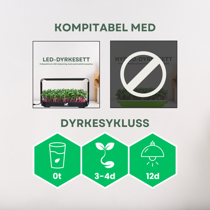 Amarant "RED" Mikrogrønt Frø