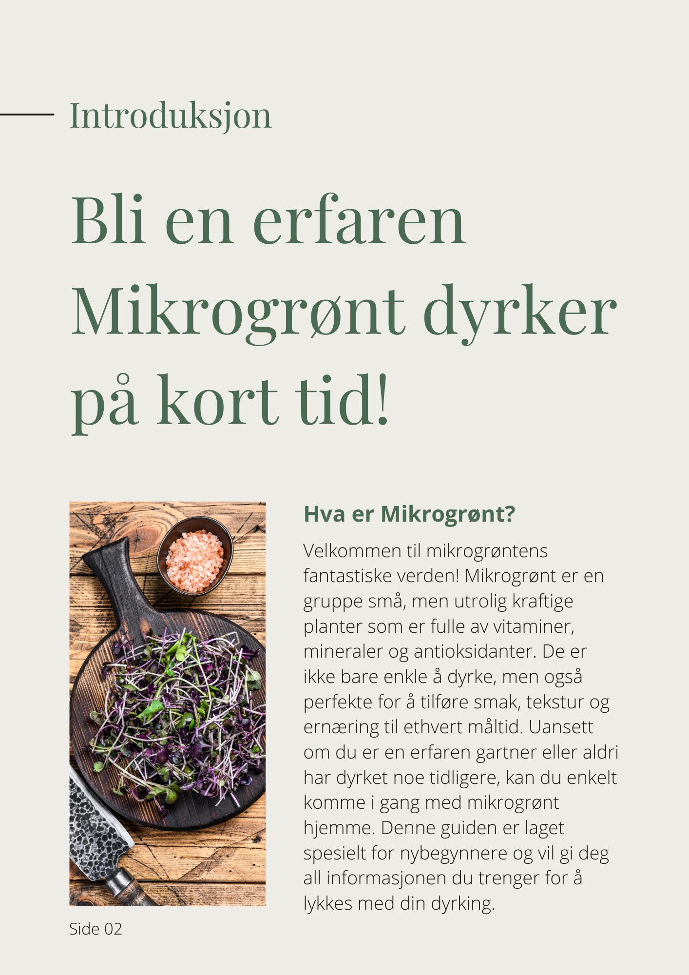 Mikrogrønt for nybegynnere GRATIS e-bok