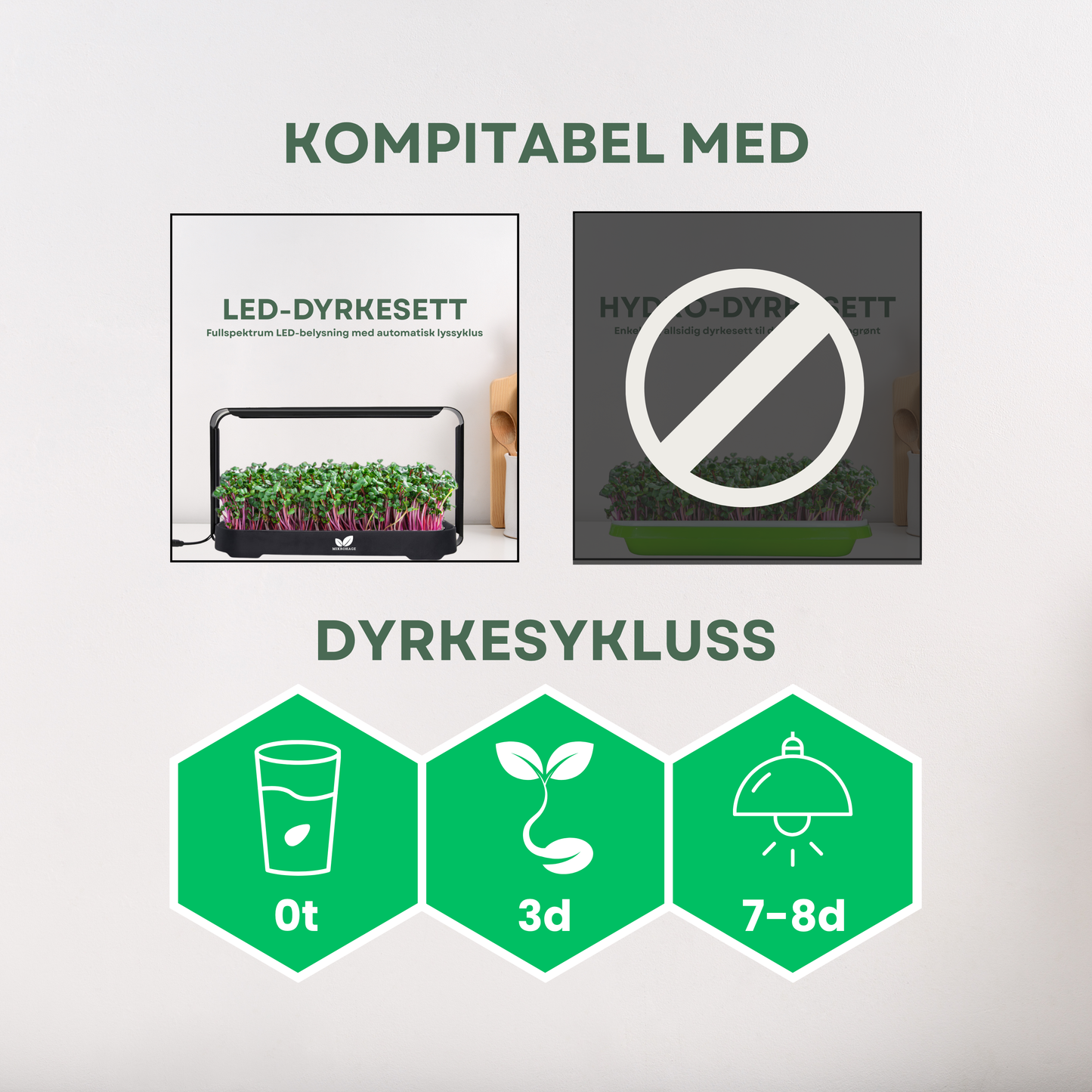 Sennep "WASABI" Mikrogrønt Frø