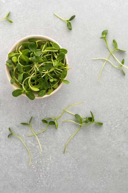 Hydro - Mikrogrønt Dyrkesett