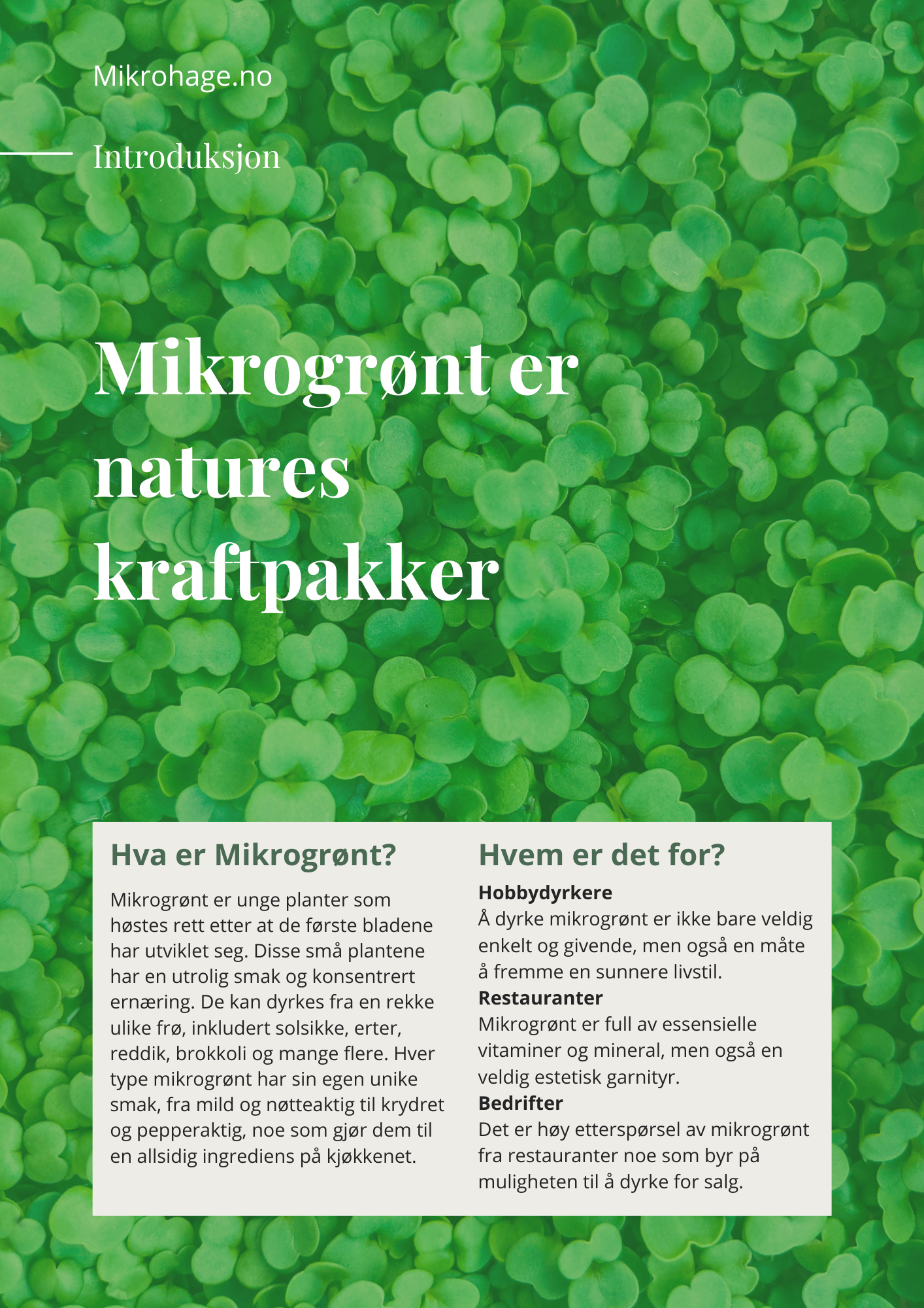Mikrogrønt for nybegynnere GRATIS e-bok